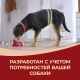 Корм сухой Purina One для взрослых собак средних и крупных пород с говядиной и рисом, 10кг