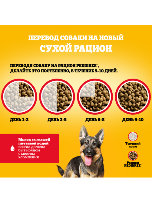 Корм сухой Pedigree для взрослых собак крупных пород с говядиной, 13кг