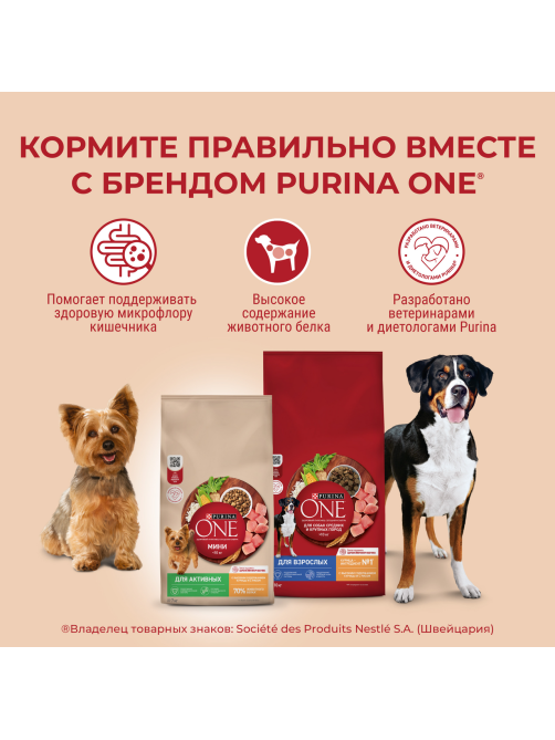 Корм сухой Purina One для взрослых собак средних и крупных пород с ягненком и рисом, 10кг