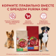 Корм сухой Purina One для взрослых собак средних и крупных пород с ягненком и рисом, 10кг