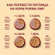 Корм влажный Purina One Мини для взрослых собак мелких пород с низкой активностью с индейкой и морковью в подливе, 85г