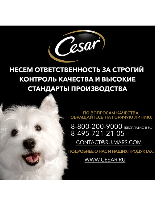Корм влажный Cesar соус для собак говядина с овощами, 85г х 28 шт