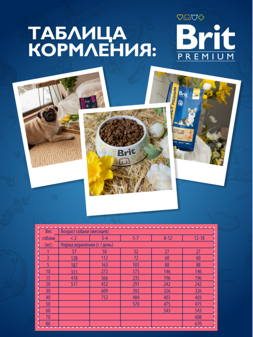 Корм сухой Brit для молодых собак крупных пород, 3кг
