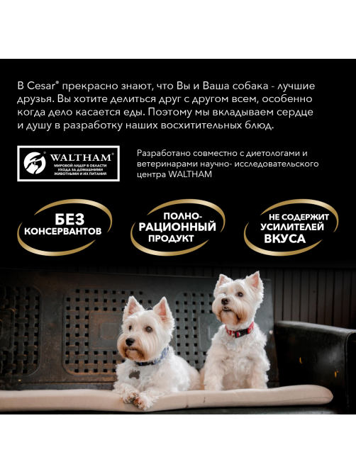 Корм влажный Cesar желе для собак жаркое с уткой, 85г