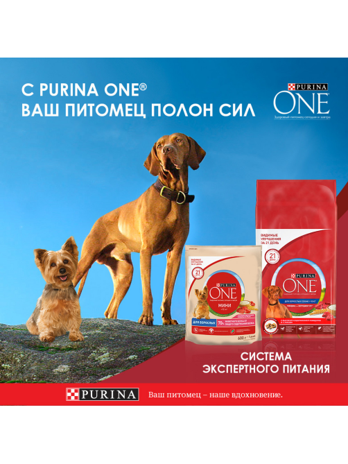 Корм влажный Purina One Мини для взрослых собак мелких пород с низкой активностью с индейкой и морковью в подливе, 85г