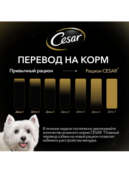 Корм влажный Cesar соус для собак говядина с овощами, 85г