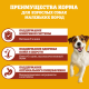 Корм сухой Pedigree для собак маленьких пород с говядиной, 2кг