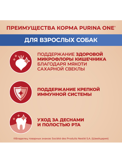 Корм сухой Purina One для взрослых собак мелких и карликовых пород с говядиной и рисом, 1.5кг