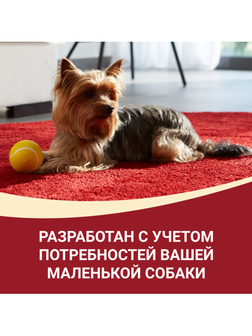 Корм влажный Purina One Мини для взрослых собак мелких пород с низкой активностью с индейкой и морковью в подливе, 85г
