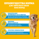 Корм влажный Pedigree соус для собак с говядиной, 85г