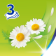 Платочки бумажные носовые Zewa Deluxe Ромашка 3 слоя, 24 x 10шт