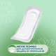 Прокладки Somfort Lady Active Mini впитывающие, 10шт