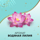 Прокладки ежедневные Discreet alldays deo water lily, 20шт