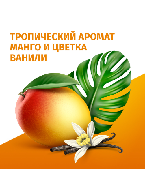 Дезодорант-ролик Фа Бали Delight Аромат манго и цветка ванили, 50мл
