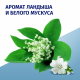 Антиперспирант-спрей Фа Прозрачная защита Аромат ландыша и белого мускуса, 150мл