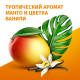Дезодорант-спрей Фа Бали Delight Аромат манго и цветка ванили, 150мл