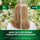 Бальзам-ополаскиватель Herbal Essences Гладкие и блестящие ромашка, 250мл