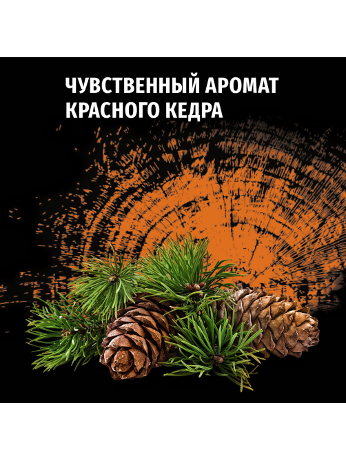 Дезодорант-спрей Фа Men Красный кедр Чувственный аромат, 150мл