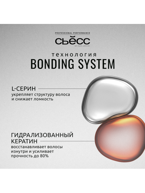 Краска для волос Сьёсс иссиня-черный 1.4