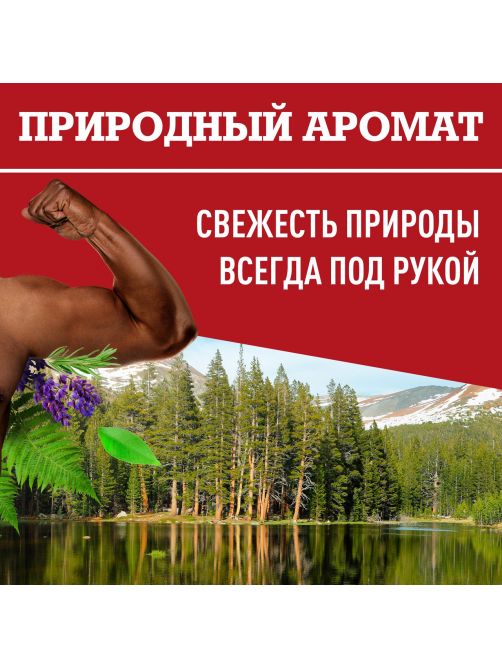Гель для душа-шампунь мужской Old Spice Океанский бриз, 400мл