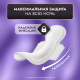 Прокладки Libretta Макси Ночные, 14шт