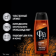 Гель для душа-шампунь Фа Men Red Cedarwood, 250мл
