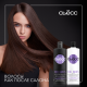 Шампунь Сьёсс Full Hair 5 для тонких волос лишенных густоты, 5-кратный эффект, 450мл