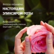 Шампунь Herbal Essences Роза, 350мл