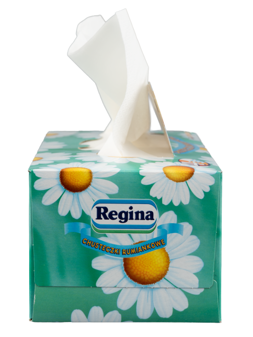 Салфетки бумажные Regina косметические с ромашкой 4 слоя, 96шт