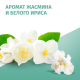 Антиперспирант-спрей Фа Защита & Комфорт Аромат жасмина и белого ириса, 150мл