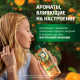 Бальзам-ополаскиватель Herbal Essences Объем Апельсин, 250мл