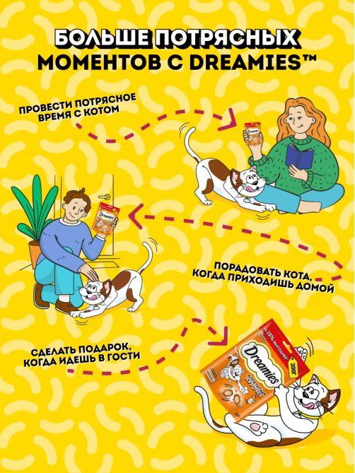 Лакомство Dreamies Лакомые подушечки для кошек с курицей, 200г