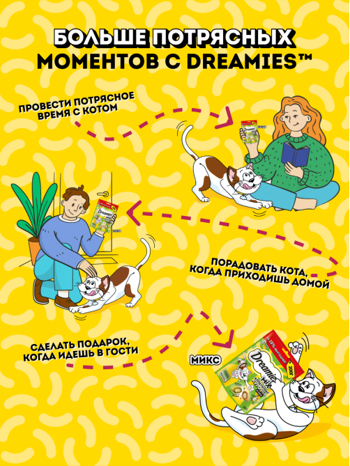 Лакомства Dreamies Mix для кошек с курицей и кошачьей мятой, 200г