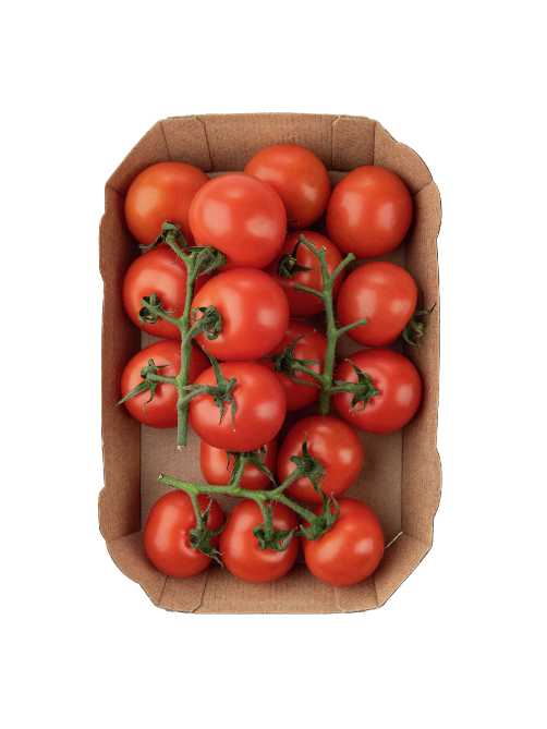 METRO Chef Томаты коктейльные на ветке, 500г