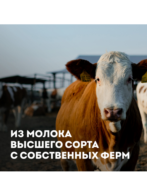 Масло сливочное Эконива Традиционное ГОСТ 82.5%, 180г