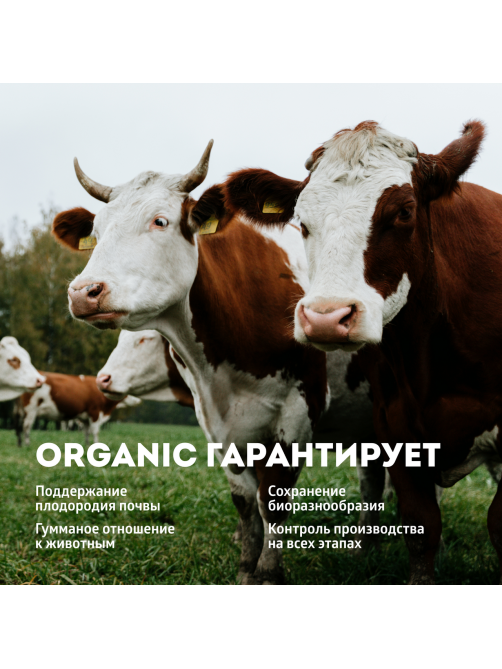 Молоко Эконива Органик ультрапастеризованное 3.2%, 1л