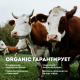 Молоко Эконива Органик ультрапастеризованное 3.2%, 1л
