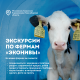 Молоко Эконива ультрапастеризованное 2.5%, 1л