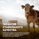 Молоко Эконива ультрапастеризованное 3.2%, 1л
