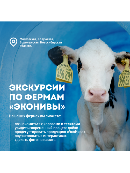 Молоко Эконива ультрапастеризованное 3.2%, 1л