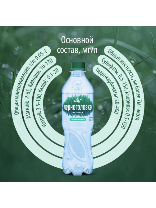 Вода Черноголовка питьевая газированная, 500мл