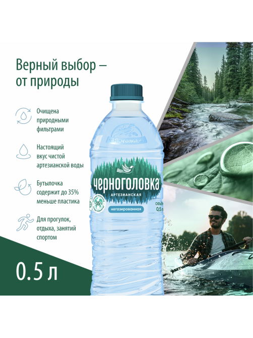 Вода Черноголовка артезианская питьевая негазированная, 500мл