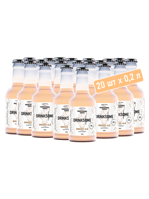 Напиток Drinksome Имбирный эль газированный, 200мл