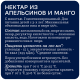Нектар Rich апельсин и манго с мякотью, 1л