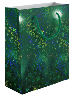 Сумка Regalissimi голография, 41 x 55 x 15.5см