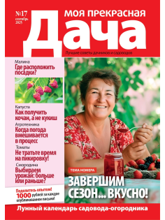 Журнал Моя прекрасная дача