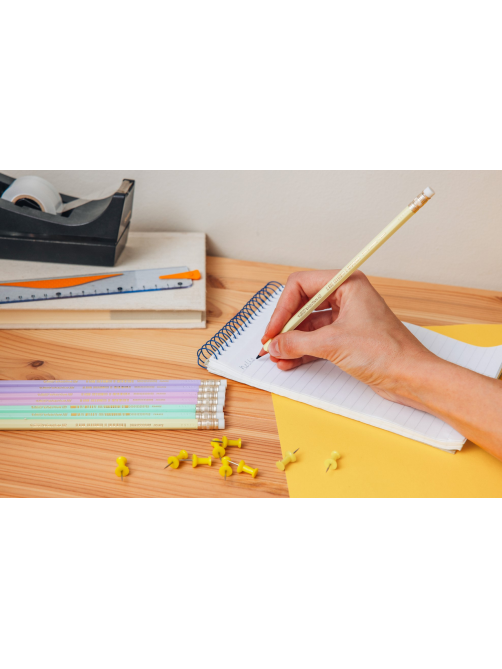 Карандаш чернографитовый BIC Пастель с ластиком, 5шт