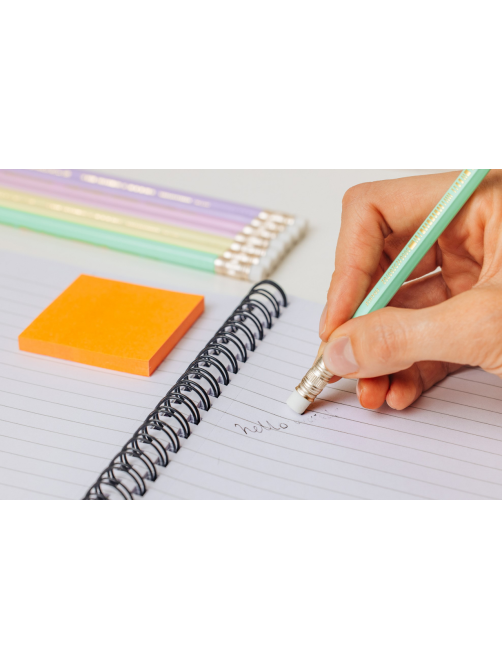 Карандаш чернографитовый BIC Пастель с ластиком, 5шт