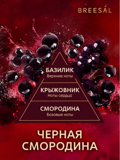 Диффузор ароматический Breesal Passion черная смородина, 70мл