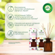 Диффузор ароматический AirWick Botanica Приморский кипарис и терпкий ветивер, 80мл